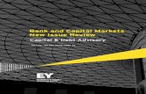 Bank and Capital Markets New Issue Review - EY€¦ · Bank and Capital Markets New Issue Review 25 Aug – 29 Aug 2014, ... compiled analysis from 298 ... NR TL EUR 600 2024 - Real