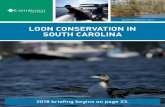 LOON CONSERVATION IN SOUTH CAROLINA - …earthwatch.org/briefings/web-earthwatch-loon-conservation-south...LOON CONSERVATION IN SOUTH CAROLINA EARTHWATCH 2017 2018 briefing begins