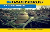 Barenbrug a worldwide leader in the grass industry for the ... · Barenbrug – a worldwide leader in the grass industry ... Fodder Radish, Faba Beans, Forage peas, White ... you