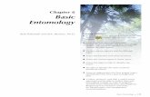 Chapter 6 Basic Entomology - Clemson Universitymedia.clemson.edu/public/mg/mg_manual_feaster_edits/MG Chapter 6FF.pdfBasic Entomology X 129 Bob Polomski and Eric Benson, Ph.D. Chapter
