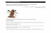 Signal Crayfish (Pacifastacus leniusculus) ERSS · Signal Crayfish (Pacifastacus ... south of Monterey Bay, two and one ... Crayfish plague and white spot disease are OIE-reportable