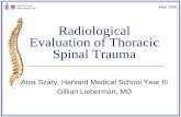 Radiological Evaluation of Spinal Cord Traumaeradiology.bidmc.harvard.edu/LearningLab/musculo/Szary.pdf · Thoracic spinal canal narrow compared to spinal cord 50% of thoracic fractures