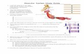 Muscular System Study Guide KD12 - Edl · endomysium, epimysium, perimysium, ... Label the following: sarcomere,, myosin, and actin on the figure to the right. 5. Thick ...