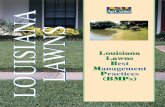 LOUISIANA LAWNS - LSU AgCenter · 2016-03-10 · Louisiana Lawns BMPs 2008 LOUISIANA . LAWNS. Louisiana . Lawns B. ... Centipede & Carpet. Table 1. Maintenance recommendations. Min
