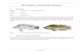 Nile Tilapia Oreochromis niloticus - nda.agric.zanda.agric.za/doaDev/sideMenu/fisheries/03_areasofwork/Aquaculture...Nile Tilapia Oreochromis niloticus 1 Taxonomy ... such as shrimp