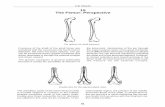 15 The Femur: Perspective - Rush Pin The Femur: Perspective 51 ... Supra-Condylar Fracture Gastrocnemius Condyle Pins. Anatomy THE FEMUR 59 The condyles of …