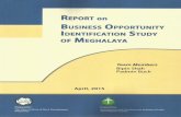 megsird.gov.inmegsird.gov.in/Docs/Report on BOI Study of Meghalaya.pdf · 2015-06-04 · 4.3 Study of Industrial Infrastructure 15 ... Climatic conditions in Meghalaya permit cultivation