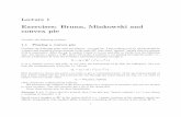 Exercises: Brunn, Minkowski and convex pie - ljk.imag.fr · Exercises: Brunn, Minkowski and convex pie ... we need general and extremely important theorem called the Brunn-Minkowski