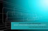 Structural Health Monitoring - American University of Beirut Mustafa's... · Structural Damage Manufacturing defect/lack of quality control Machining and assembly damage/ during construction