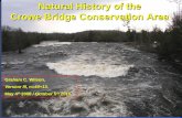Natural History of the Crowe Bridge Conservation .Natural History of the Crowe Bridge Conservation