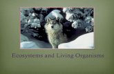 Ecosystems and Living Organismselizabethmoretz.weebly.com/uploads/4/4/5/6/44567783/... · 2015-10-20 · Ecosystems and Living Organisms. Chapter Overview I. Evolution II. ... or