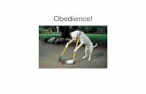 Obedience! of Situational factors theory • Lacks ecological validity because done in a lab, not asked to electrocute people in real life so can’t explain real life obedience. Ethical