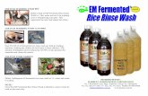 Use it in washing your clothes - .:: HARBEST AgriBusiness ... rinse rice wash..pdf · USE IT IN WASHING YOUR PET . Dilute 2 tbsp of EM Fermented Rice Rinse Wash to 1 liter water and