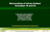 Microcutting of Hevea Rubber Genotype 78 and 91 irrdb china... · Microcutting of Hevea Rubber Genotype 78 and 91 NURHAIMI ... M.P. CARRON (CIRAD) Presented at IRC, Sanya, Hainan,