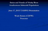Status and Trends of Trinity River Anadromous Salmonid ... · Status and Trends of Trinity River Anadromous Salmonid Populations June 17, ... Brief History of the TRD and Fisheries
