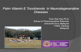 Yuen_Palm Vitamin E Tocotrienols in... · management of such neurodegenerative disorders ... Dr Mukhtar Alam Ansari Dr Liong Wei Chuen ... Lancinating pain Burning pain Pricking pain