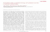 Multiscale patterning of plasmonic metamaterialsturroserver.chem.columbia.edu/surfaceplasmons/pdf/11_NatureNano_2... · 2007 Nature Publishing Group Multiscale patterning of plasmonic