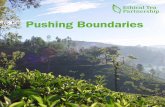 Pushing Boundaries - The Ethical Tea Partnership is ... · Pushing Boundaries. 1 Contents 1 Our Mission ... the pay and benefits of workers on tea plantations in Malawi, ... Improving