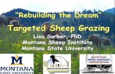 Targeted Sheep Grazing - Montana State University€¦ · Targeted Sheep Grazing Lisa Surber, PhD ... Weed Technology 6:599 Seed Recovery ... Herding $2.31 (Alley et al., 1983; ...