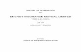 ENERGY INSURANCE MUTUAL LIMITED - Florida Office of ... insurance mutual limited tampa, florida as of december 31, 2003 by the office of insurance regulation . table of contents ...