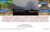 Labour productivity in rubber latex tapping among ... · smallholder rubber farmers in the Kyarinnseikkyi Township, Kawkareik district, Kayin State ... SWOT method 3. Multi-level