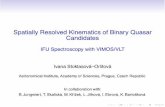 Spatially Resolved Kinematics of Binary Quasar Candidates · Spatially Resolved Kinematics of Binary Quasar ... We have approx. 300 resultant emission spectra per target. ... 250