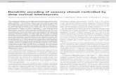 LE T T E R Smolecular-ethology.biochem.s.u-tokyo.ac.jp/neuro-seminar/...LE T T E R S Dendritic encoding of sensory stimuli controlled by deep cortical interneurons Masanori Murayama