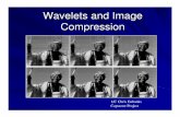Wavelets and Image Compression - USNA · Fourier ’s theory of frequency analysis: ... wavelet and image compression study. ... Based on analyzing signals and their components using