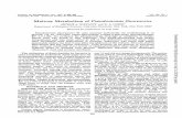 Maltose Metabolism of Pseudomonas fluorescensjb.asm.org/content/124/1/262.full.pdf · Maltose Metabolism ofPseudomonasfluorescens ... Sinai School ofMedicine ofthe CityUniversityofNewYork,
