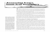 The Insurgency’s Origins and Nature - Air University about the roots and origins of the sunni arab insurgency color assessments of its nature and character. Analysts and officials