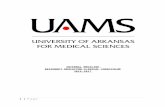 intmedicine.uams.eduintmedicine.uams.edu/.../sites/36/2010/09/CURRICULUM.docx · Web viewDemonstrates effective patient assessment, management and escalation of care/transition of