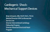 Cardiogenic Shock: Mechanical Support Devices Shock . Cardiogenic Shock and Mechanical Assist devises Brian Schwartz MD FACP, FACC, FSCAI Brian Schwartz ...