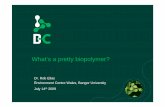 What’s a pretty biopolymer? - welshcomposites.co.uk presentation.pdf · National Starch and US EcoFoam NA NA Chemical ... Biop Biopolymer Germany Biopar ... Thermoformed trays and