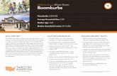 LifeMode Group: Affluent Estates 1C Boomburbsdownloads.esri.com/esri_content_doc/dbl/us/tapestry/segment3.pdf · LifeMode Group: Affluent Estates Boomburbs ... POPULATION CHARACTERISTICS