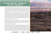Great Basin–Mojave Desert Region · The Great Basin–Mojave Desert region is a land of striking contrasts. ... ing moisture from Pacific storm fronts before the moisture reaches