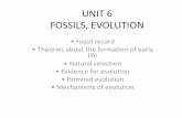 UNIT 6 FOSSILS, EVOLUTION - sampson917 [licensed …sampson917.pbworks.com/w/file/fetch/65487528/EOC - Unit 6...•cast fossils (formed when a mold is filled in) •trace fossils =