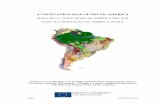 A VEGETATION MAP OF SOUTH AMERICA - Ministerio do … · A VEGETATION MAP OF SOUTH AMERICA ... by VEGA 2000, an initiative co ... Head of the Global Vegetation Monitoring Unit December