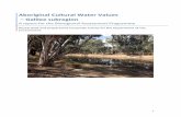 Aboriginal Cultural Water Values Galilee subregion · Aboriginal Cultural Water Values – Galilee subregion ... 3.2 CULTURAL WATER ASSETS IDENTIFIED 18 ... Chapter 6 – Indigenous