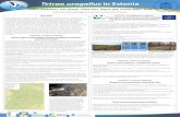 Tetrao urogallus in Estonia - Eestimaa Looduse Fond · forest and bog habitats (degratation), ... to secure the most favourable conservation status of WETLANDs; ... conditions sustained