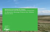 A Smarter Energy Future for Wales documents/cr-ld10610/cr-ld10610-e.pdf · A Smarter Energy Future for Wales March 2016. T. he National Assembly for Wales is the democratically elected