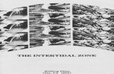 The Intertidal Zone - Study Guide - Bullfrog Filmsbullfrogfilms.com/guides/zoneguide.pdfTHE INTERTIDAL ZONE Study Guide by Jesse A. Wright Introduction and Post Viewing Questions (1-4)