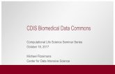 CDIS Biomedical Data Commons - CENTER FOR …cri.uchicago.edu/wp-content/uploads/2017/12/CLSSS_Seminar_101820… · CDIS Biomedical Data Commons ... •NCI GDC Data Commons –GDC