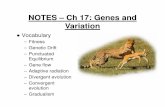 NOTES – Ch 17: Genes and Variation · 17.1 – Genes & Variation Darwin developed his theory of natural selection without knowing how heredity worked…or how variations arise VARIATIONS