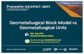 Geometallurgical Block Model vs Geometallurgical Units · MEGASCOPIC ROCK MASS Geological mapping by cells. Macro-images processed by automatized image analyzer software (AIAS) ...