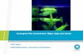 Ecological Risk Assessment: Major steps and issues - … · 2010-10-21 · Ecological Risk Assessment: Major steps and issues ... UM genetic biocontrol symposium, June 2010: Slide