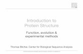 Introduction to Protein Structure - DTU Bioinformatics · CENTER FOR BIOLOGICAL SEQUENCE ANALYSIS TECHNICAL UNIVERSITY OF DENMARK DTU ... Introduction to" Protein Structure Function,