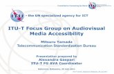 ITU-T Focus Group on Audiovisual Media Accessibility · ITU-T FG AVA Coordinator Gaborone, ... experts, called Focus Group on Audiovisual Media Accessibility ... Academia. It is also