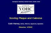 Scoring Plaque and Calculus - VOHC · Scoring Plaque and Calculus. VOHC Function . Based on bacteria in plaque having been demonstrated to be the cause of gingival inflammation and