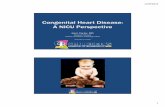 Congenital Heart Disease - A NICU Perspective · 12/9/2015 1 Congenital Heart Disease: A NICU Perspective Kerri Carter, MD Assistant Professor Division of Pediatric Cardiology, CHoR