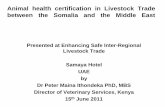 Animal health certification in Livestock Trade between … · Animal health certification in Livestock Trade ... • The relative peace and order in Somaliland and Puntland ... Clinical